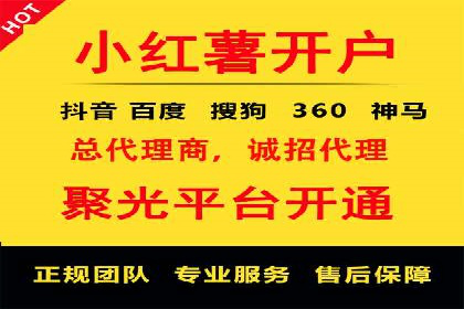 专业SEM服务公司案例分析报告